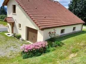 Charmante maison rénovée avec 3 chambres, garage, et animaux admis à Gerbamont - FR-1-589-161